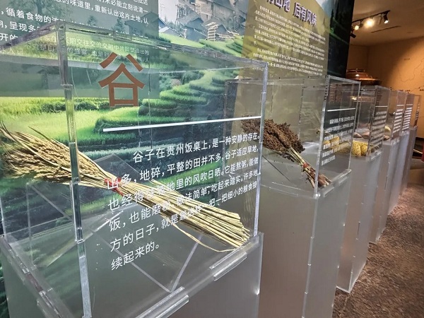 Discover Guizhou's living food heritage