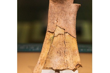 Oracle Bone No 2172 from Yinxu site