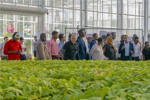 African youth leaders visit Jinhua to explore cooperation