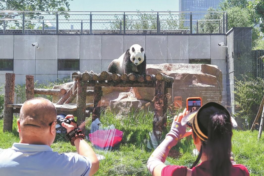 Beijing Zoo giant pandas get bigger, better pavilion