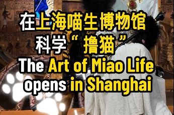 The Art of Miao Life opens in Shanghai
