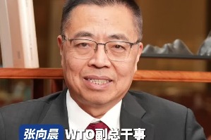 WTO Official: Hainan's Island-wide Special Customs Operations 'Stress Test' Offering Insights for Nation