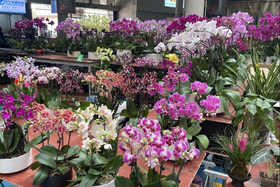 Kunming's flower markets bloom for China's Valentine's Day