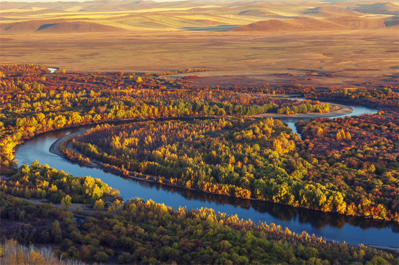 Discover Inner Mongolia's autumn colors