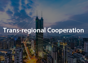 Trans-regional Cooperation