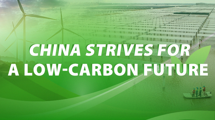China’s carbon goals